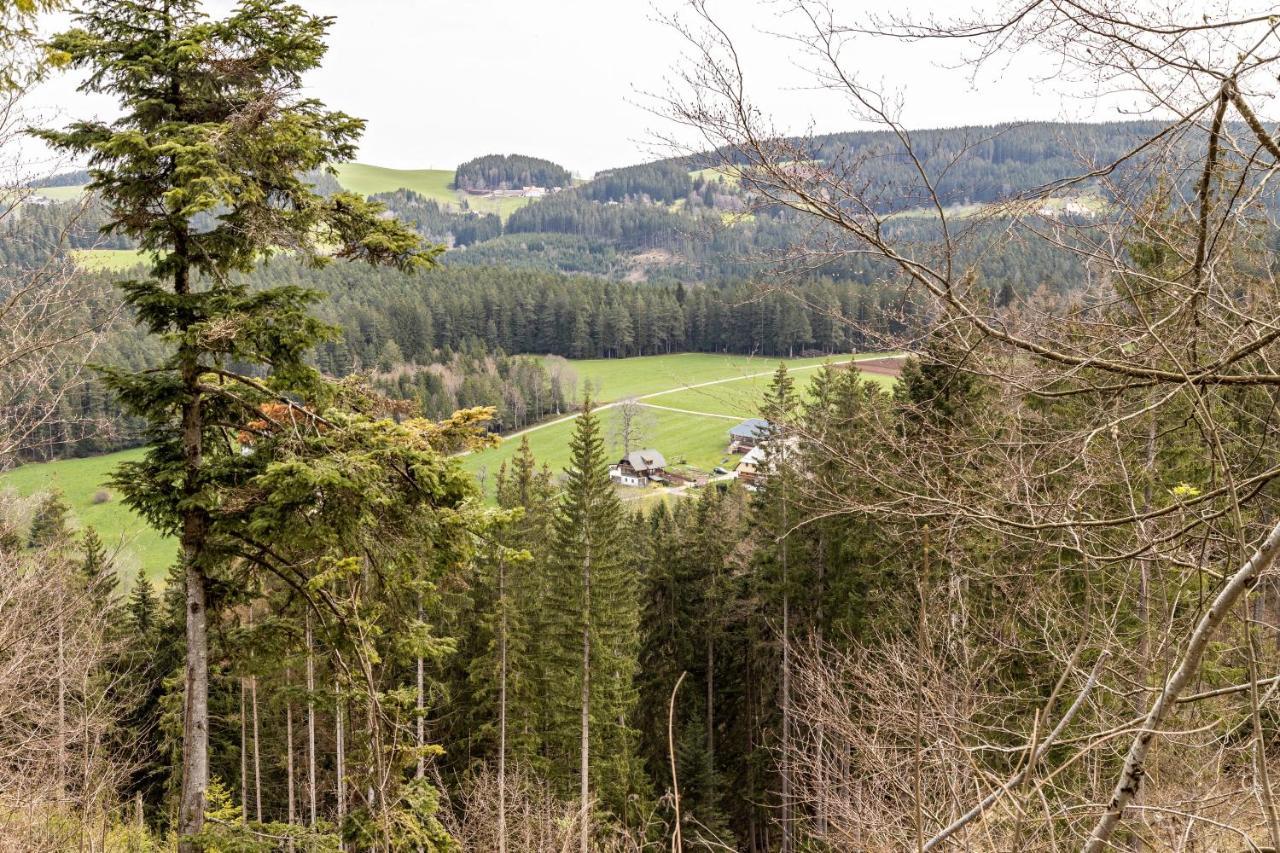 Sonnenhof Apartment Triberg im Schwarzwald